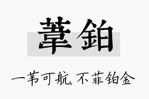 苇铂名字的寓意及含义