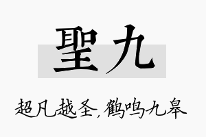 圣九名字的寓意及含义