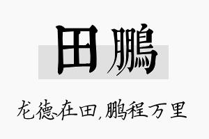 田鹏名字的寓意及含义