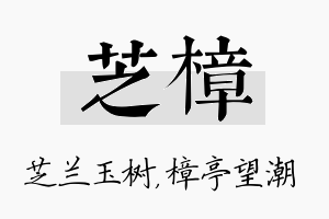 芝樟名字的寓意及含义