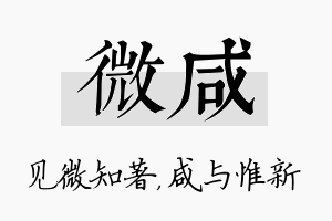 微咸名字的寓意及含义