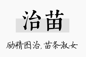 治苗名字的寓意及含义