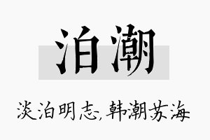 泊潮名字的寓意及含义