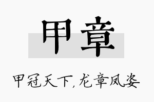 甲章名字的寓意及含义