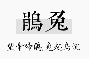 鹃兔名字的寓意及含义