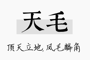 天毛名字的寓意及含义