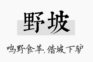 野坡名字的寓意及含义