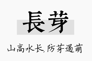 长芽名字的寓意及含义