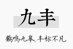 九丰名字的寓意及含义