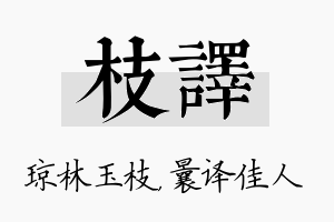 枝译名字的寓意及含义