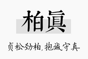 柏真名字的寓意及含义