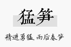 猛笋名字的寓意及含义