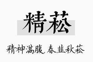 精菘名字的寓意及含义