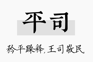 平司名字的寓意及含义