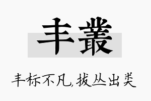 丰丛名字的寓意及含义