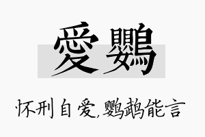 爱鹦名字的寓意及含义