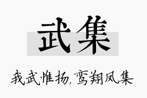 武集名字的寓意及含义