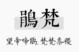 鹃梵名字的寓意及含义