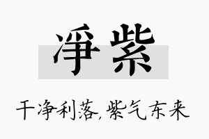 净紫名字的寓意及含义