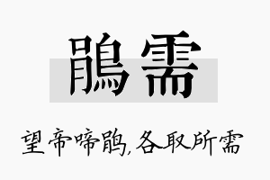 鹃需名字的寓意及含义