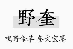 野奎名字的寓意及含义