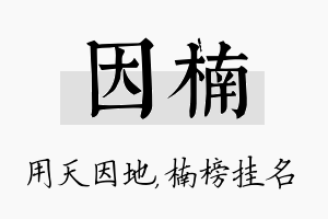 因楠名字的寓意及含义