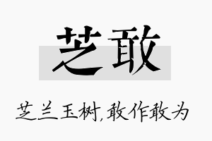 芝敢名字的寓意及含义