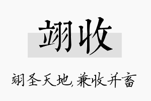 翊收名字的寓意及含义