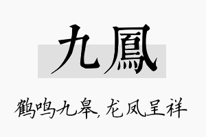 九凤名字的寓意及含义