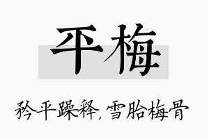 平梅名字的寓意及含义