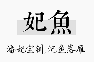 妃鱼名字的寓意及含义