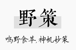 野策名字的寓意及含义