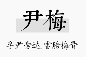 尹梅名字的寓意及含义