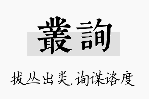 丛询名字的寓意及含义