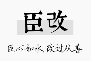 臣改名字的寓意及含义