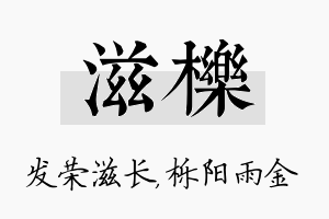 滋栎名字的寓意及含义