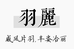 羽丽名字的寓意及含义