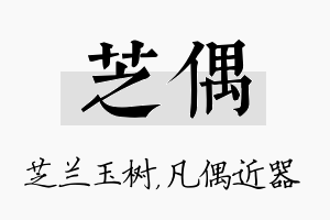 芝偶名字的寓意及含义