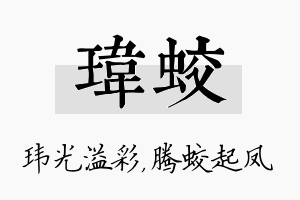 玮蛟名字的寓意及含义