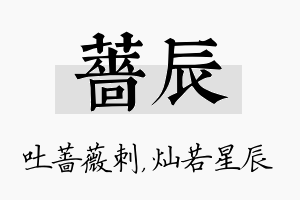 蔷辰名字的寓意及含义