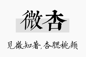 微杏名字的寓意及含义