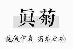 真菊名字的寓意及含义