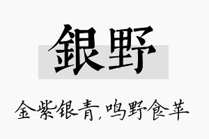 银野名字的寓意及含义