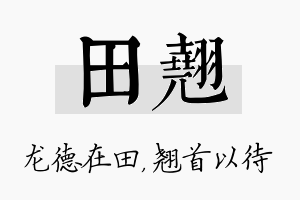 田翘名字的寓意及含义