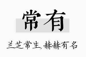 常有名字的寓意及含义