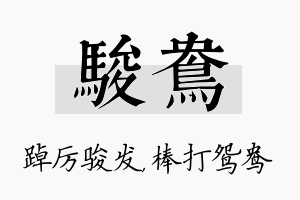 骏鸯名字的寓意及含义