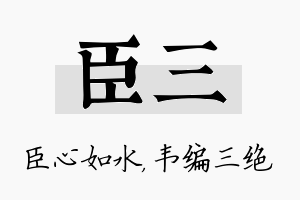 臣三名字的寓意及含义