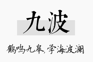 九波名字的寓意及含义