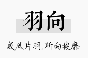 羽向名字的寓意及含义