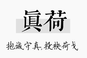 真荷名字的寓意及含义